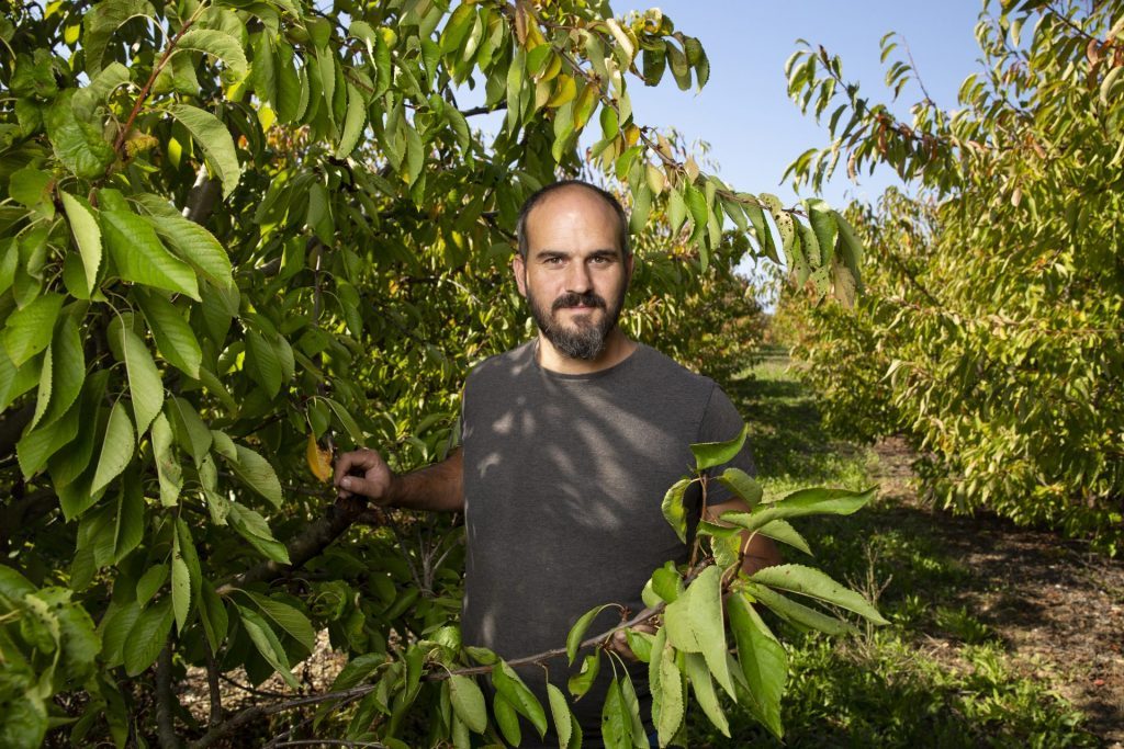 Les arboriculteurs