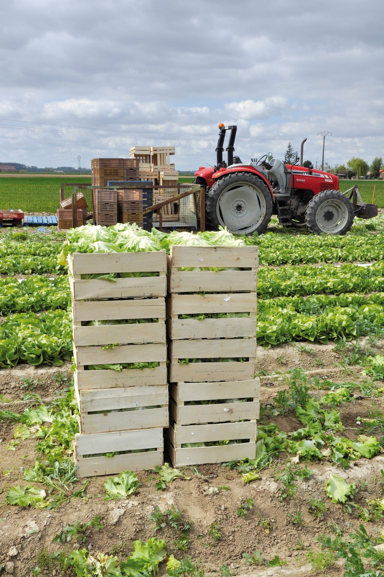 Les producteurs - métiers